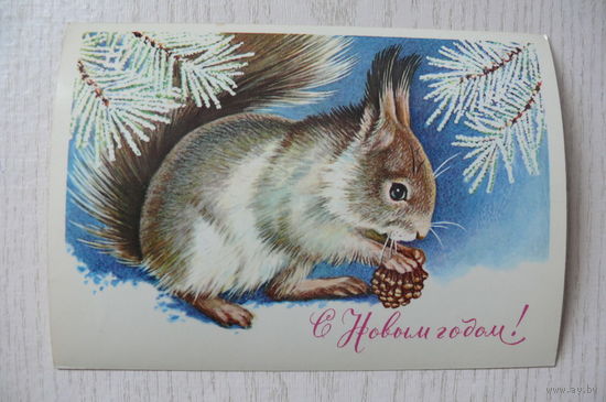 Достян Р., С Новым годом! 1980, 1981, чистая, ДМПК, АВИА (белка).