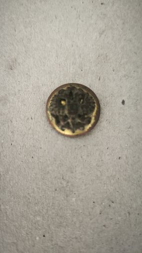 Пуговица РИА накладной орёл с позолотой. Офицерские пуговицы РИА