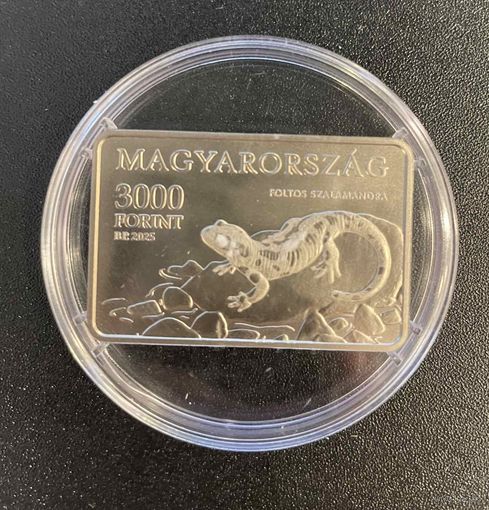 Венгрия 3000 форинтов 2025 г Национальный Парк Аггтелек Ящерица