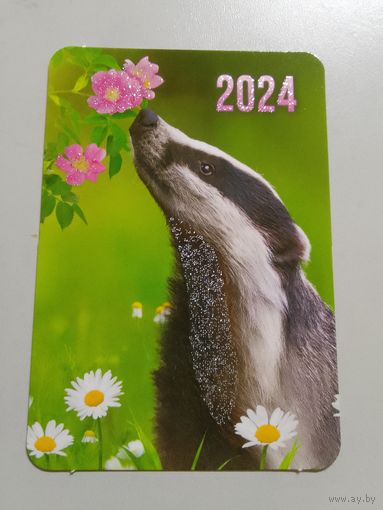 Карманный календарик. Енот. 2024 год