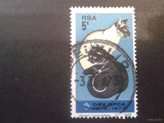 ЮАР 1972 кошки