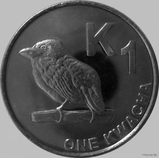 Замбия. 1 квача 2012 год  КМ#209  "Замбийский дятел"
