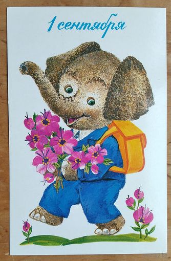 Галкина Н. 1 сентября.1986 г. Чистая.