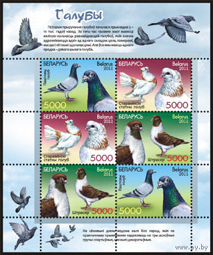Беларусь. 2011. Голуби. Малый лист
