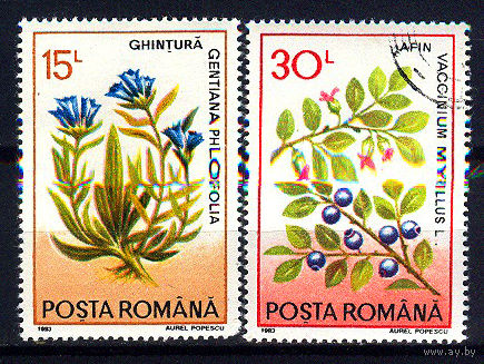 1993 Румыния. Лекарственные растения