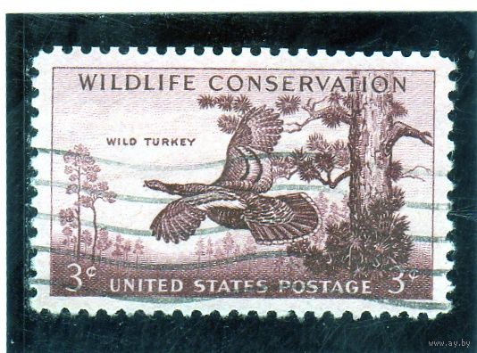 США.Ми-699. Дикая Турция (Meleagris gallopavo). Серия: Проблема сохранения дикой природы.1956.