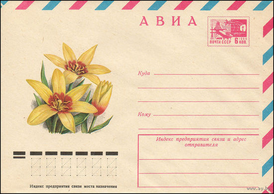 Художественный маркированный конверт СССР N 11946 (09.03.1977) АВИА  Тюльпан "Корона"