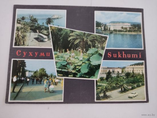 Чистая открытка "Сухуми", 1968г.