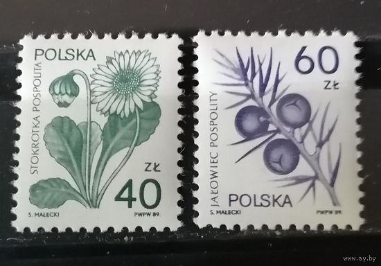 Польша 1989 Флора Лекарственные растения