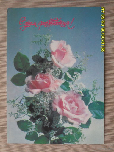 ЧИСТАЯ ПОЧТОВАЯ ОТКРЫТКА "С ДНЕМ РОЖДЕНИЯ" фото.И.ДЕРГИЛЕВА 1991г.