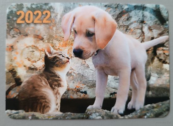 Друзья. Щенок и котенок. Календарик, 2022