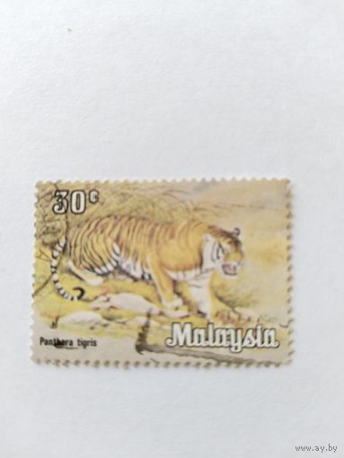 Малайзия   1979 тигр