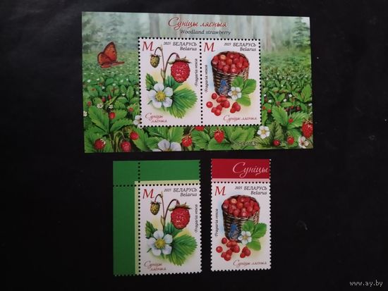 Беларусь  2025 2 м+бл. ягоды