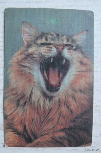Календарик, 1990, Кошка.
