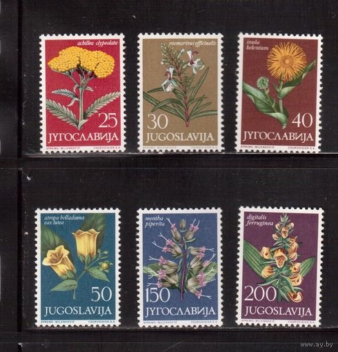 Югославия-1965(Мих.1118-1123)  **  , Цветы (полная серия)