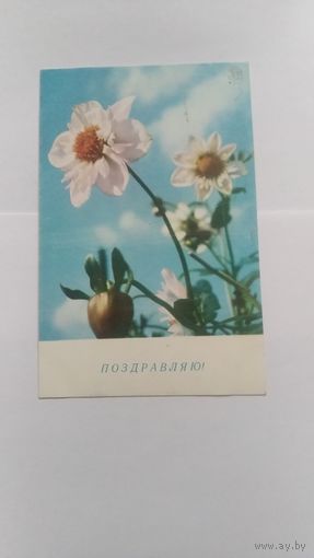 Открытка