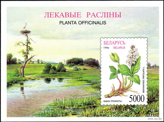 Лекарственные растения Беларусь 1996 год (173) 1 блок