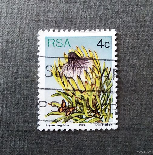 Марка Южная Африка 1977 год