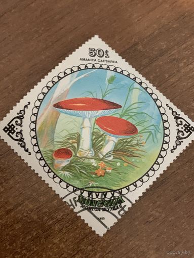 Монголия 1985. Грибы. Amanita Caesarea. Марка из серии