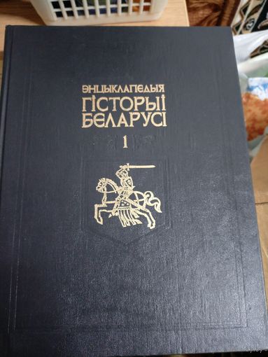 Энцыклапедыя гісторыі Беларусі. Том 1\031