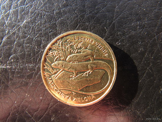 Польша.2 злотых.Ящерица.2009. С 20 копеек. Распродажа коллекции. Смотрите другие лоты.