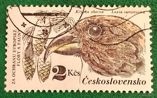 Чехословакия 1983. Птицы. Клест-еловик