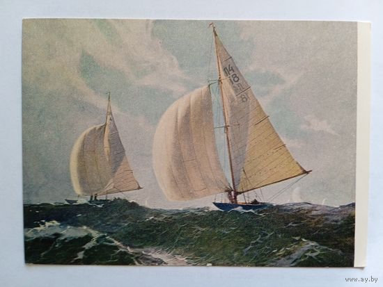 1954. Калниньш. Балтийская регата