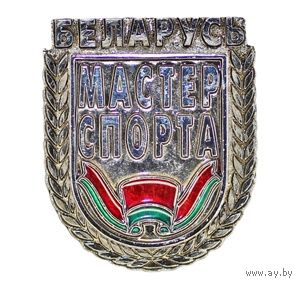 Мастер спорта Республики Беларусь
