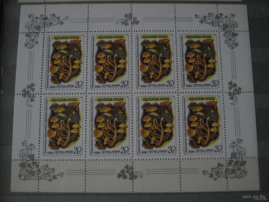 Лист СССР 1986. Ядовитые грибы.