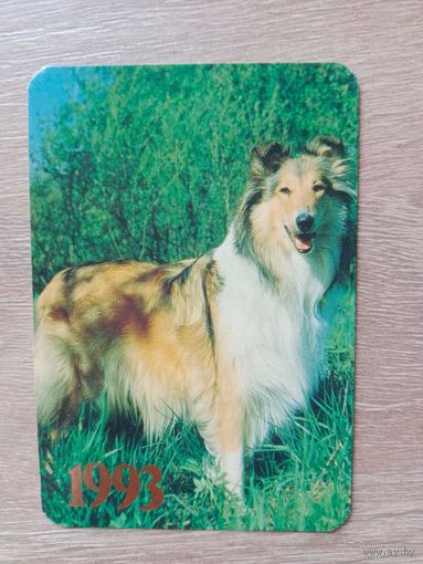 Календарик 1993