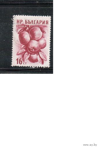 Болгария-1956, (Мих.984),   * ( без клея) , Фрукты,
