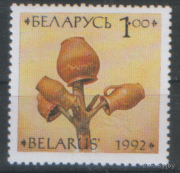 БЕЛ. М. 20. 1992. Керамика. ЧиСт.