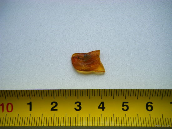 Прибалтийский Янтарь. С 1 рубля.