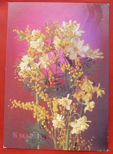 8 Марта! Подписанная. 1985 года. Костенко. 94.