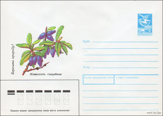 Художественный маркированный конверт СССР N 88-532 (12.12.1988) Берегите природу! Жимолость съедобная