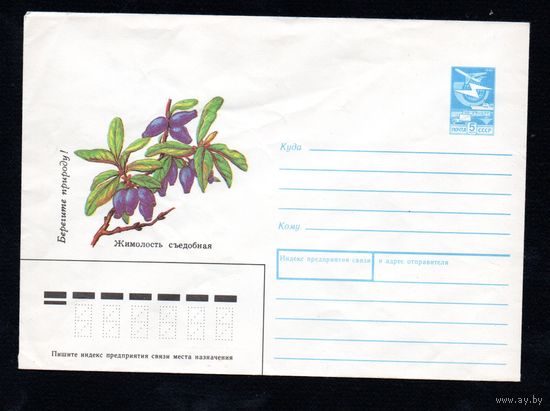 Художественный маркированный конверт СССР N 88-532 (12.12.1988) Берегите природу! Жимолость съедобная
