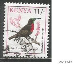 Кения. Птицы. Красногрудая нектарница. 1993г. Mi#581.