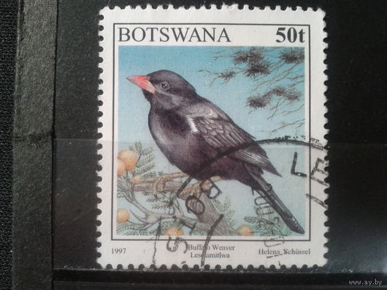 Ботсвана,1997. Буффало Уивер