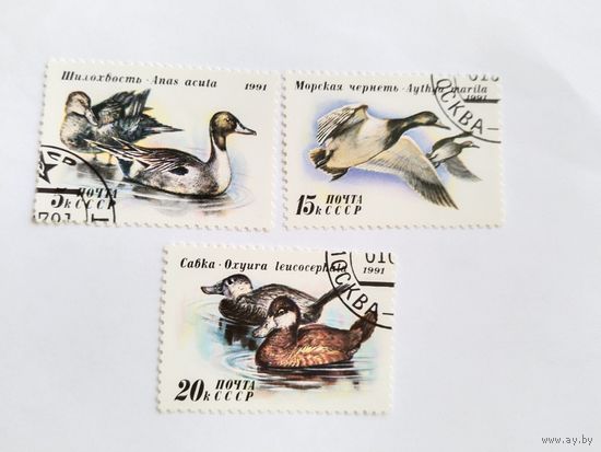 СССР 1991  3 м утки