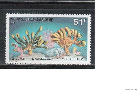 Новая Каледония-1988(Мих.828) **  , Морская Фауна,(одиночка)