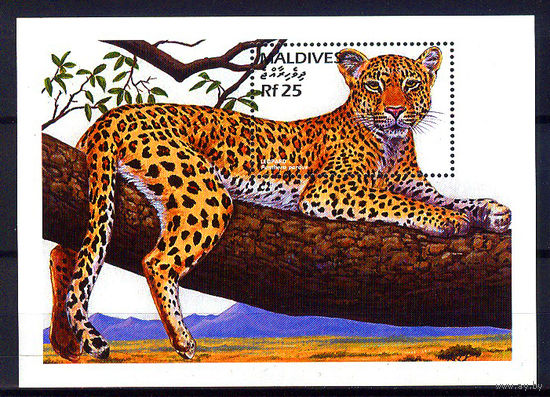 1996 Мальдивы. Леопард