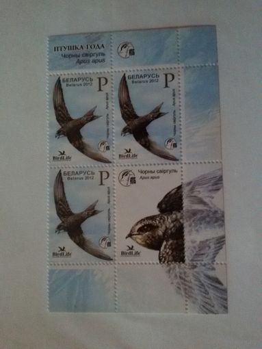 (Ф30-01) Беларусь. Птица года. 2012. Квартблок с купоном