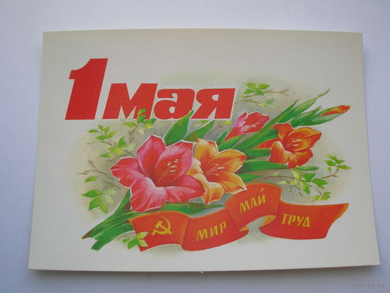 1 Мая 1986 год Дергилева В. Чистая