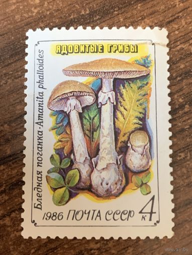 СССР 1986. Грибы. Бледная поганка. Марка из серии