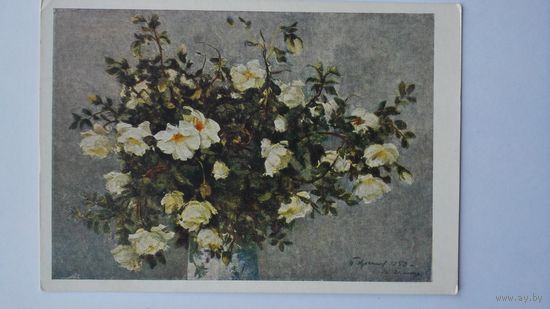 1957. Цветы. Крылов. Шиповник