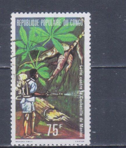 [1402] Конго 1981. Флора.Маниок.Борьба с вредителями. Одиночный выпуск. Гашеная марка.