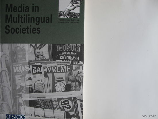 Media in Multilingual Societies