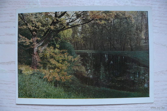 Петров Н., Село Михайловское. Пруд; 1949, чистая.