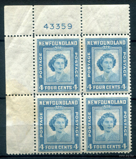 Британские колонии - Ньюфаундленд - 1947г. - День Рождения принцессы Елизаветы - 1 кварт - полная серия, MNH, есть небольшие вмятинки и пятно на поле слева [Mi 243]. #3-WB-92-A-1