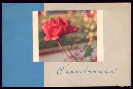 1967 год Б.Ритова С праздником!